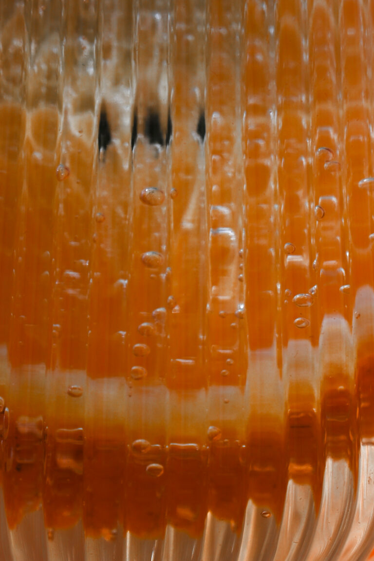 Orangenscheibe im Detail